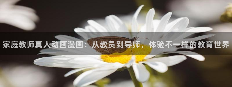 女神漫画免费阅读