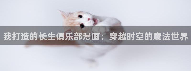 鹡鸰女神漫画结局
