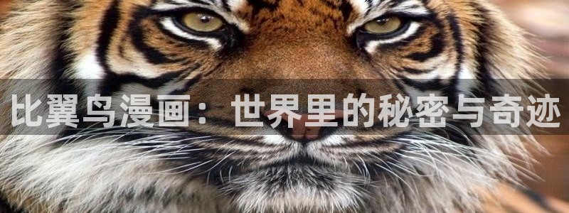 女神漫画羞羞入口在线观看网站